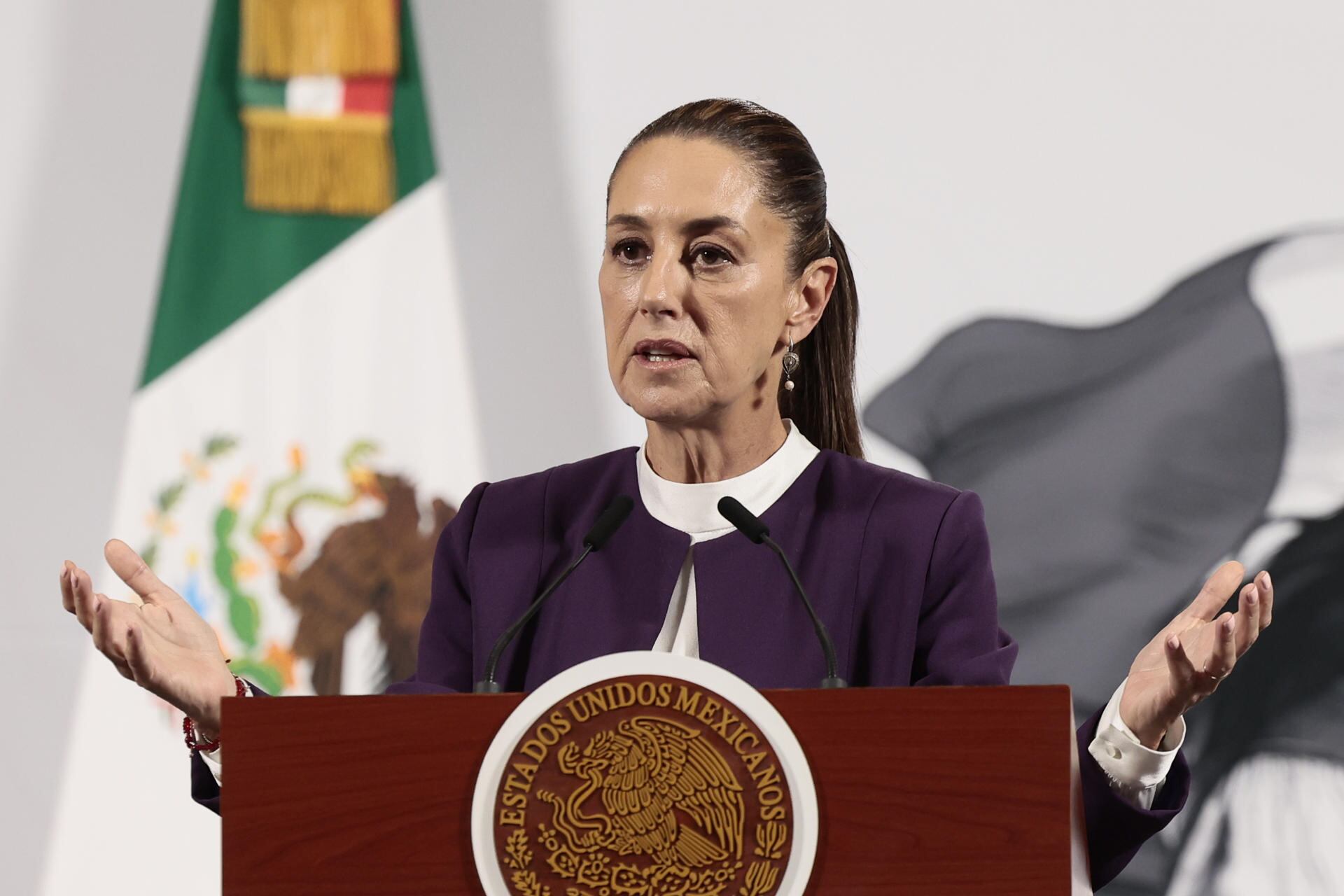 La presidenta Claudia Sheinbaum afirmó el 28 de abril que su país está reforzando los controles para evitar la propagación de la plaga al ganado. EFE/José Méndez