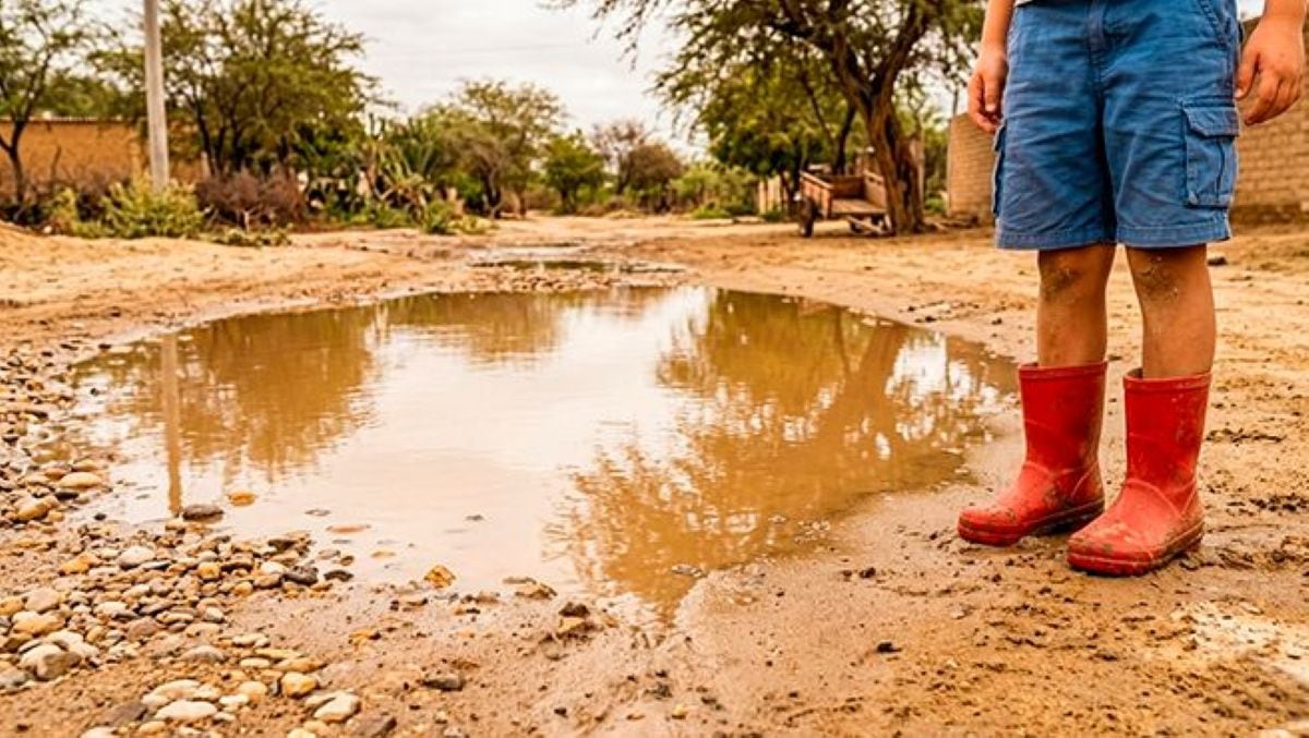 Leptospirosis en aumento: más de 800 casos reportados en el país en medio de lluvias e inundaciones. Foto: Minsa.