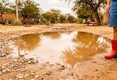 Leptospirosis deja tres fallecidos y supera los 800 casos en el Perú