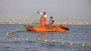 Produce: 8,000 embarcaciones de pesca artesanales se formalizaron en el 2017