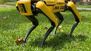 Perros robot de policía: ¿máquinas útiles o deshumanizantes?