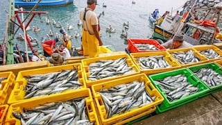 Pesca artesanal: denuncian que Produce reduciría controles para el ingreso de barcos chinos