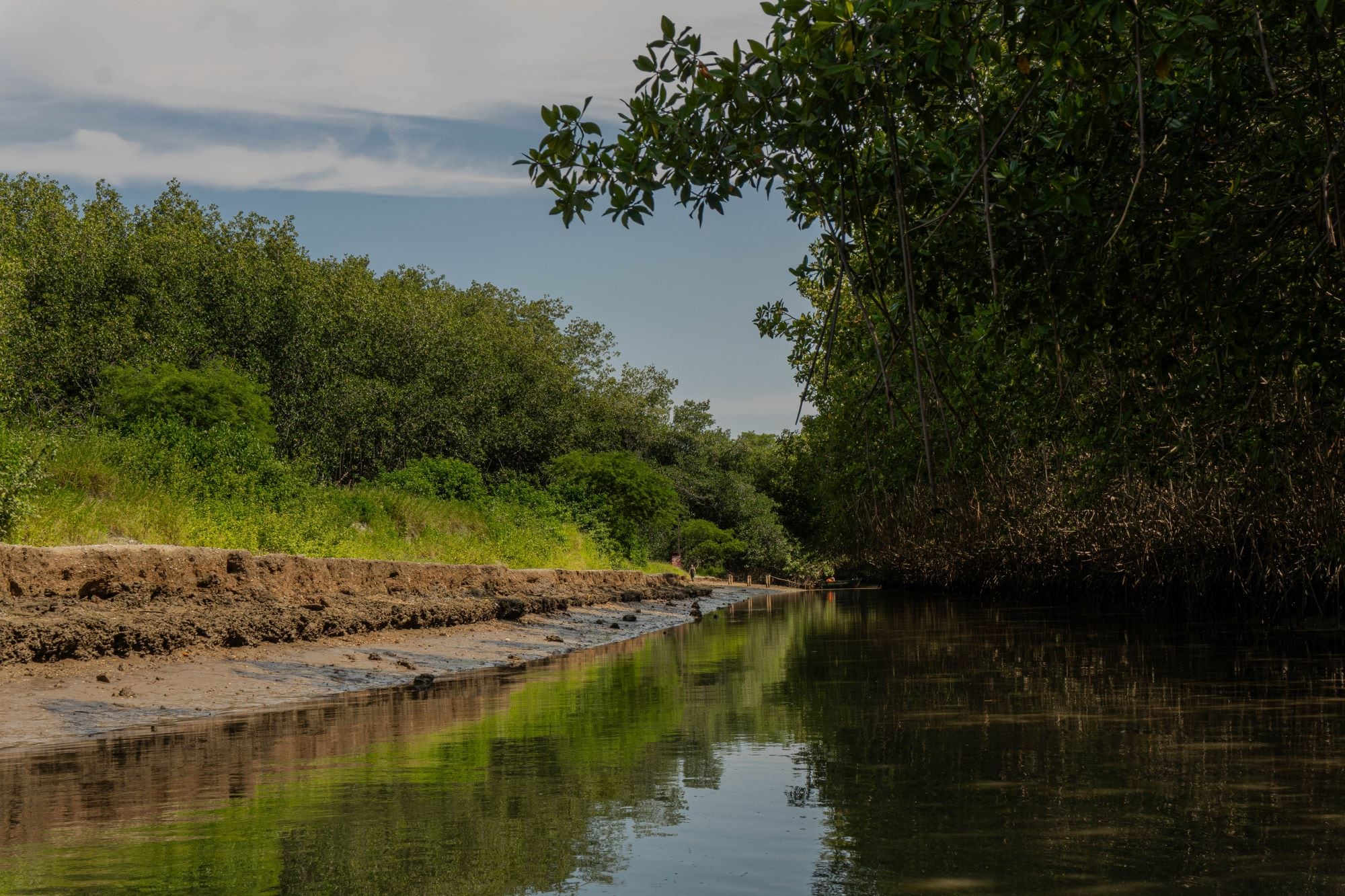 Se abrió cuatro líneas de cooperación con la Unión Europea vinculadas a mercados de carbono, créditos de biodiversidad, informó el Minam. Foto: Leandro Amaya para Mongabay Latam