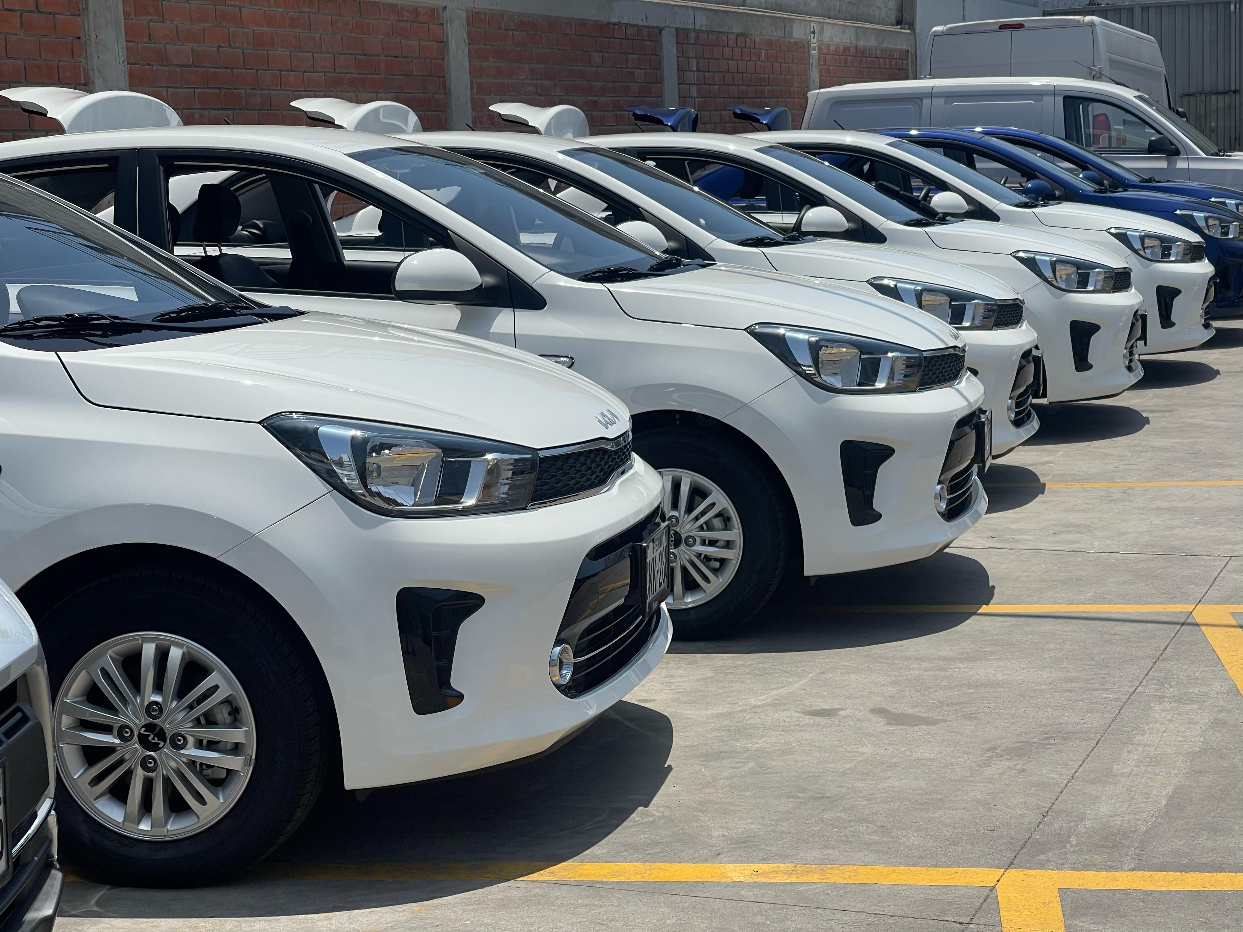 Flota de EuroRenting