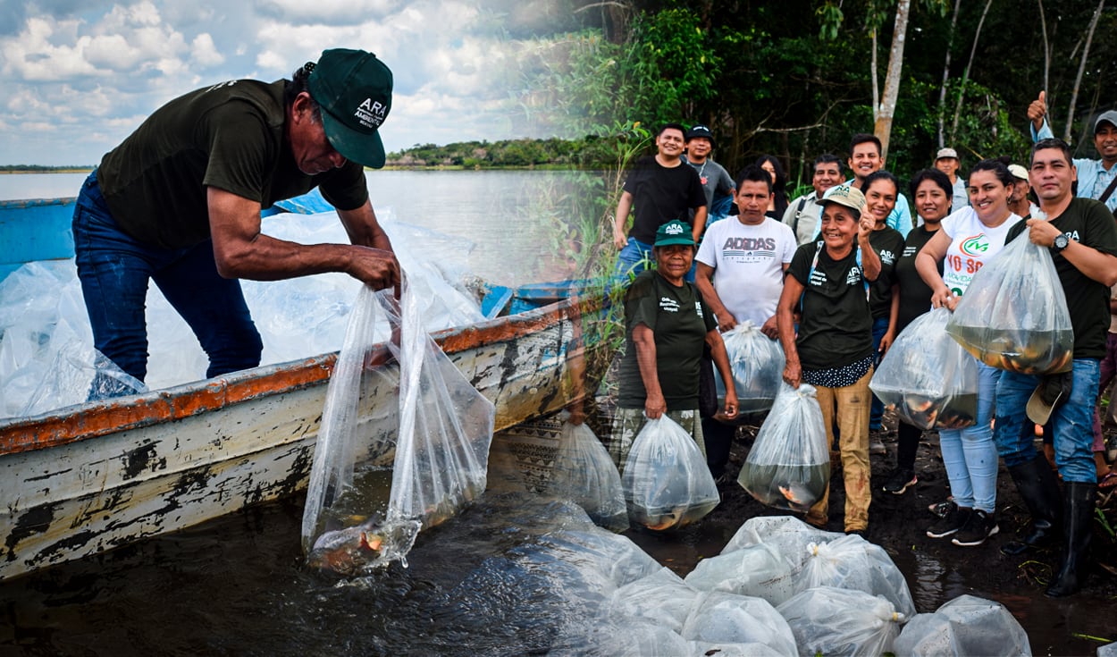 Se espera que la población continúe preservando las especies y realice una pesca sostenible en Yarinacocha. Foto: composición de Gestión / ARA