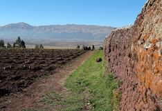 IICA presenta plan de rehabilitación y adaptación ante desastres agrícolas en el Caribe