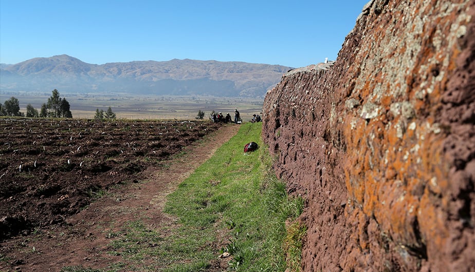 Plan pretende mejorar y aplicar metodologías de evaluación rápida de daños y pérdidas, en materia de tecnología, sistemas y herramientas agrícolas, bancos de semillas y viveros móviles. (EFE)