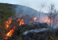 Incendios forestales en Lambayeque afectaron casi mil hectáreas de cultivos