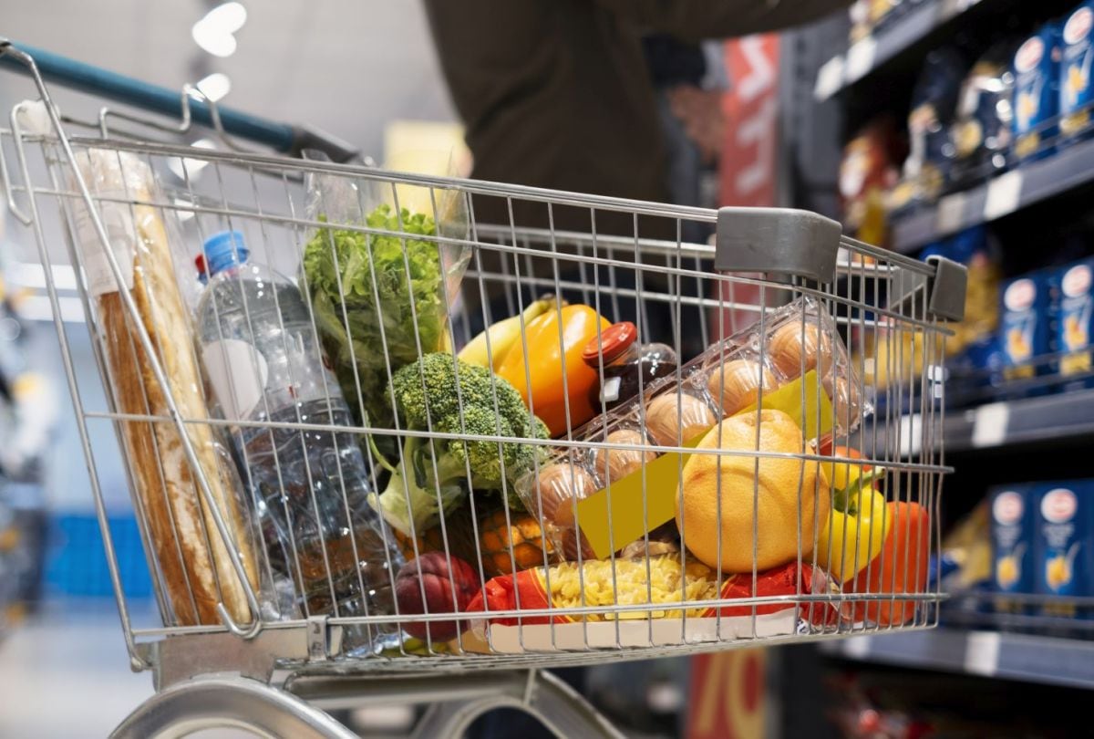 Si cambió tu sueldo y recibes cupones de alimentos, averigua cómo reportarlo y cómo afecta tu pago de SNAP (Foto: Freepik)