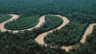 Selva amazónica brasileña podría perder a su más generoso protector, Noruega
