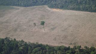 Editorial de Bloomberg: cómo EE.UU. puede ayudar a salvar la selva amazónica