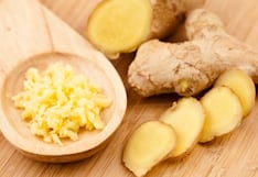 Productores de jengibre apuestan por cultivos in vitro y bancos de germoplasma en Perú