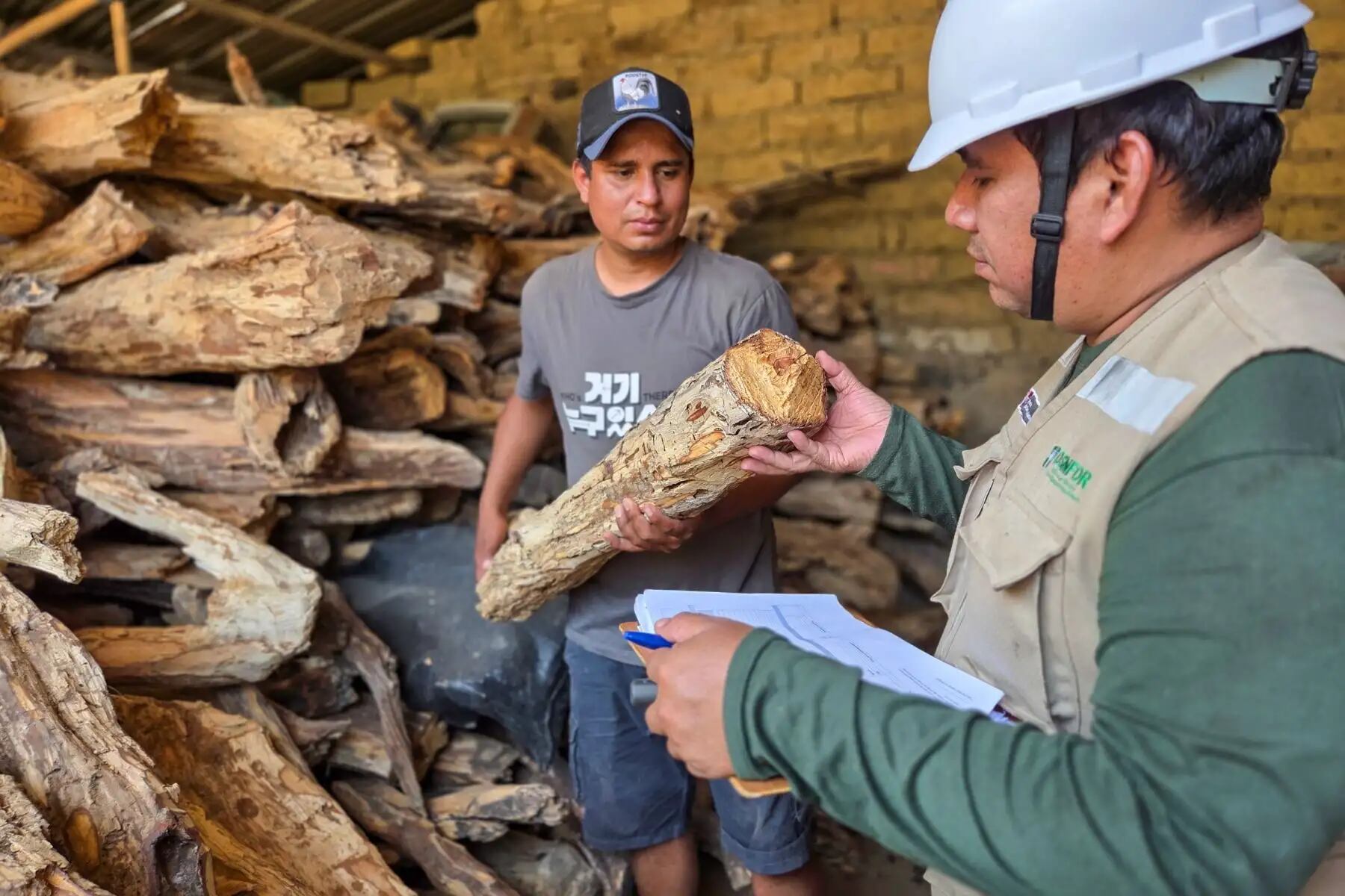 ¿Por qué es tan cotizado el palo santo del Perú? (Foto: Andina)