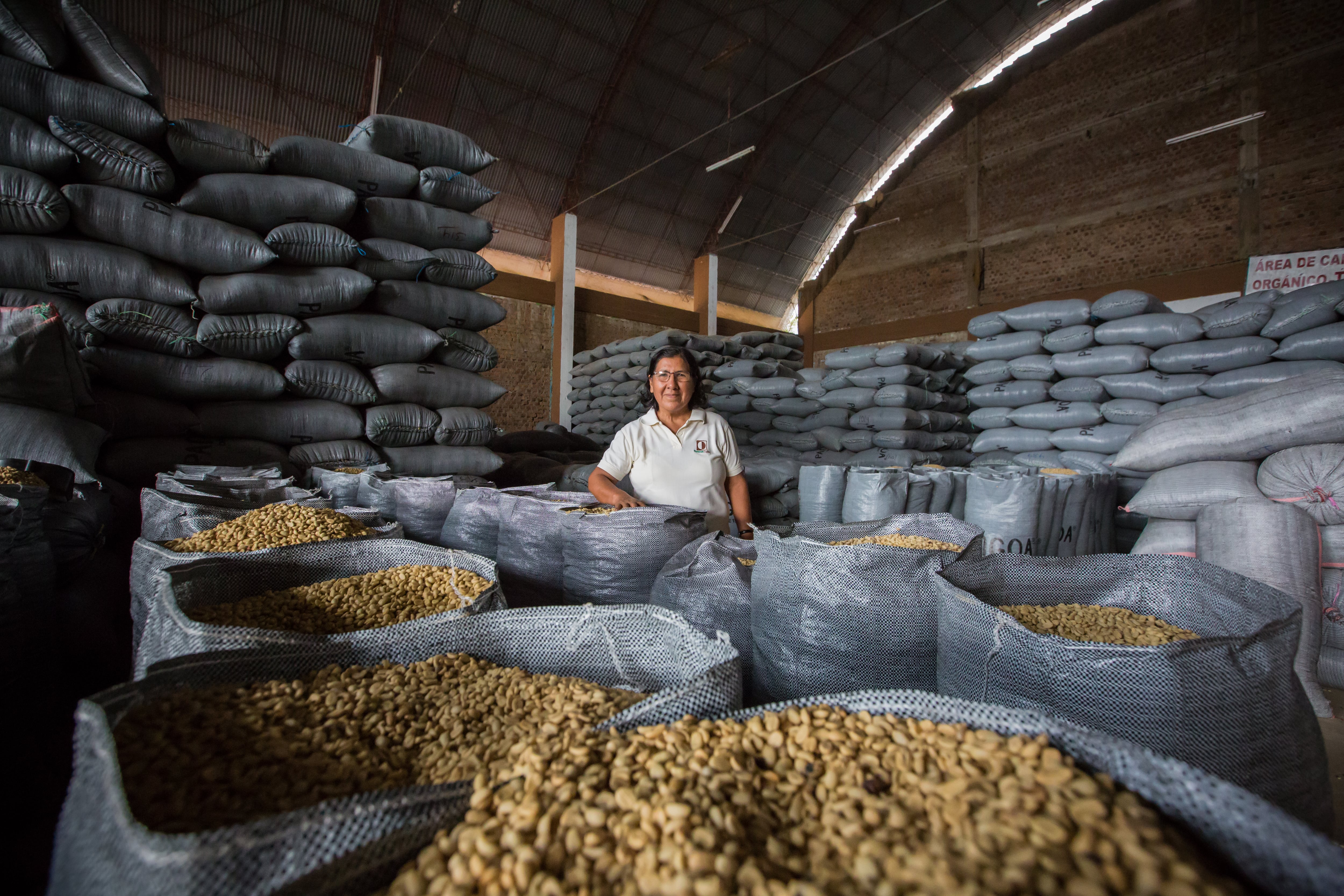 En los últimos cinco años, la participación femenina en la industria cafetalera ha aumentado en 1.2 puntos porcentuales, alcanzando el 51.9% en 2023. Foto: GEC.