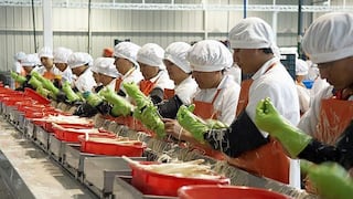 Agroexportación: una historia de éxito y un modelo a seguir