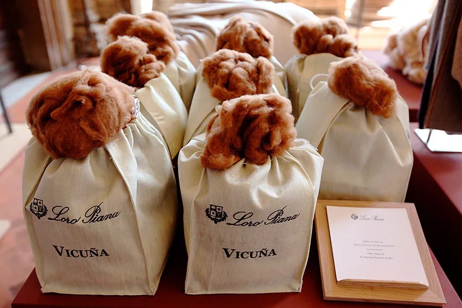 La marca recuerda que la recolección de lana solo dura un día, solo ocurre una vez al año y el precio del kilo oscila “entre 300 dólares a 400 dólares según el año y la evolución de la oferta y la demanda”. Foto: Vogue