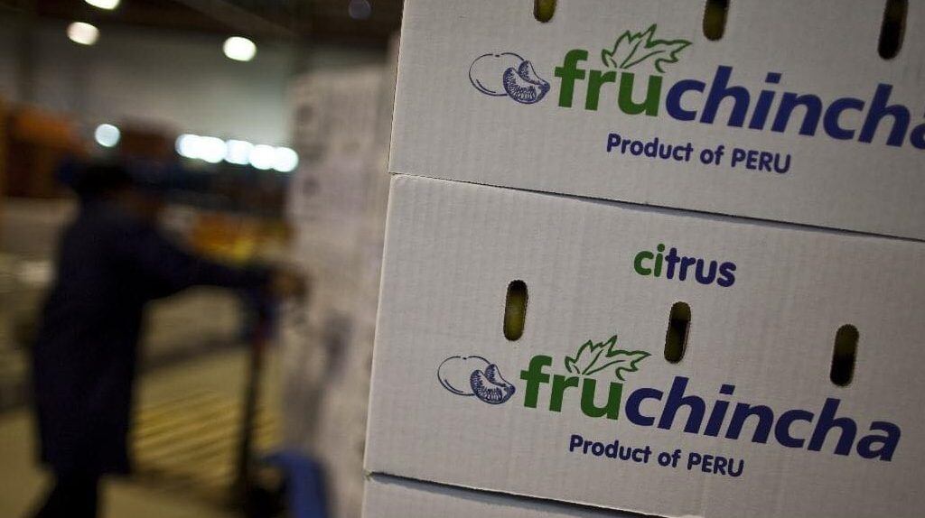 Fruchincha tiene presencia con sus productos en Europa, Estados Unidos y Asia. (Foto: Difusión)