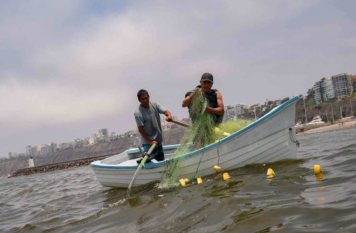 El sector pesca ya se ve afectado por el FEN. | Gob.pe