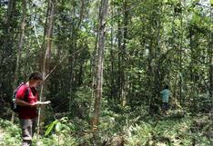 Bosques Amazónicos prepara una nueva emisión de instrumentos financieros sostenibles