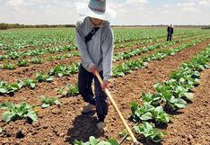 Venezuela trabaja en la creación de zona especial para la producción de alimentos