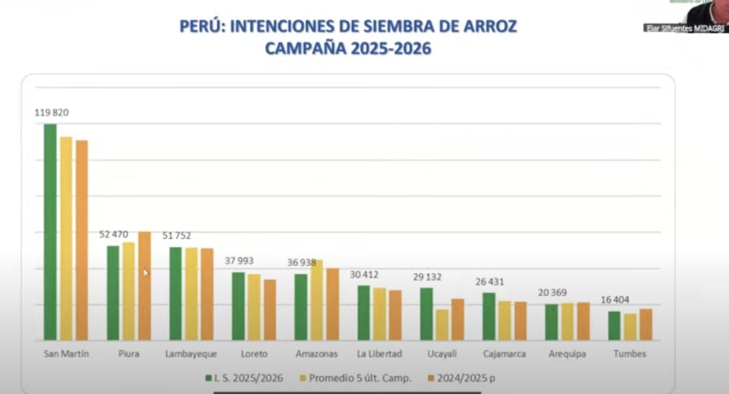Para la campaña 2025-2026, se espera un aumento de 4% en la producción de arroz frente a lo estimado el año pasado. (Fuente: Midagri)