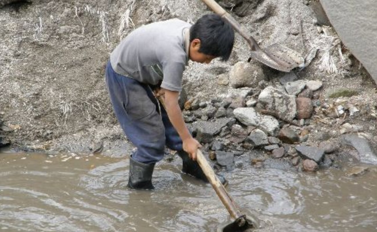Seis regiones aún no recuperan niveles prepandemia de trabajo infantil | Foto: ANDINA