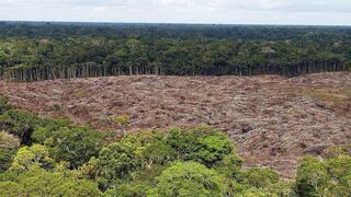 Si Brasil legaliza más minería en el Amazonas, impulsará deforestación, advierte estudio