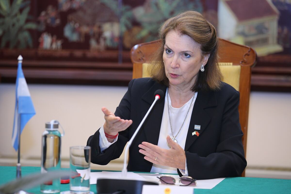 La ministra de Relaciones Exteriores de Argentina, Diana Mondino, habla durante una reunión en la Casa de Huéspedes del Gobierno en Hanoi, Vietnam, el 19 de marzo de 2024. (Foto de EFE/EPA/LUONG THAI LINH)