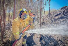 Crisis climática: Sudamérica es cada vez más cálida, seca y con más riesgo de incendios