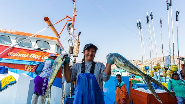 Perú destaca en EE.UU. por los avances en la industria pesquera del perico