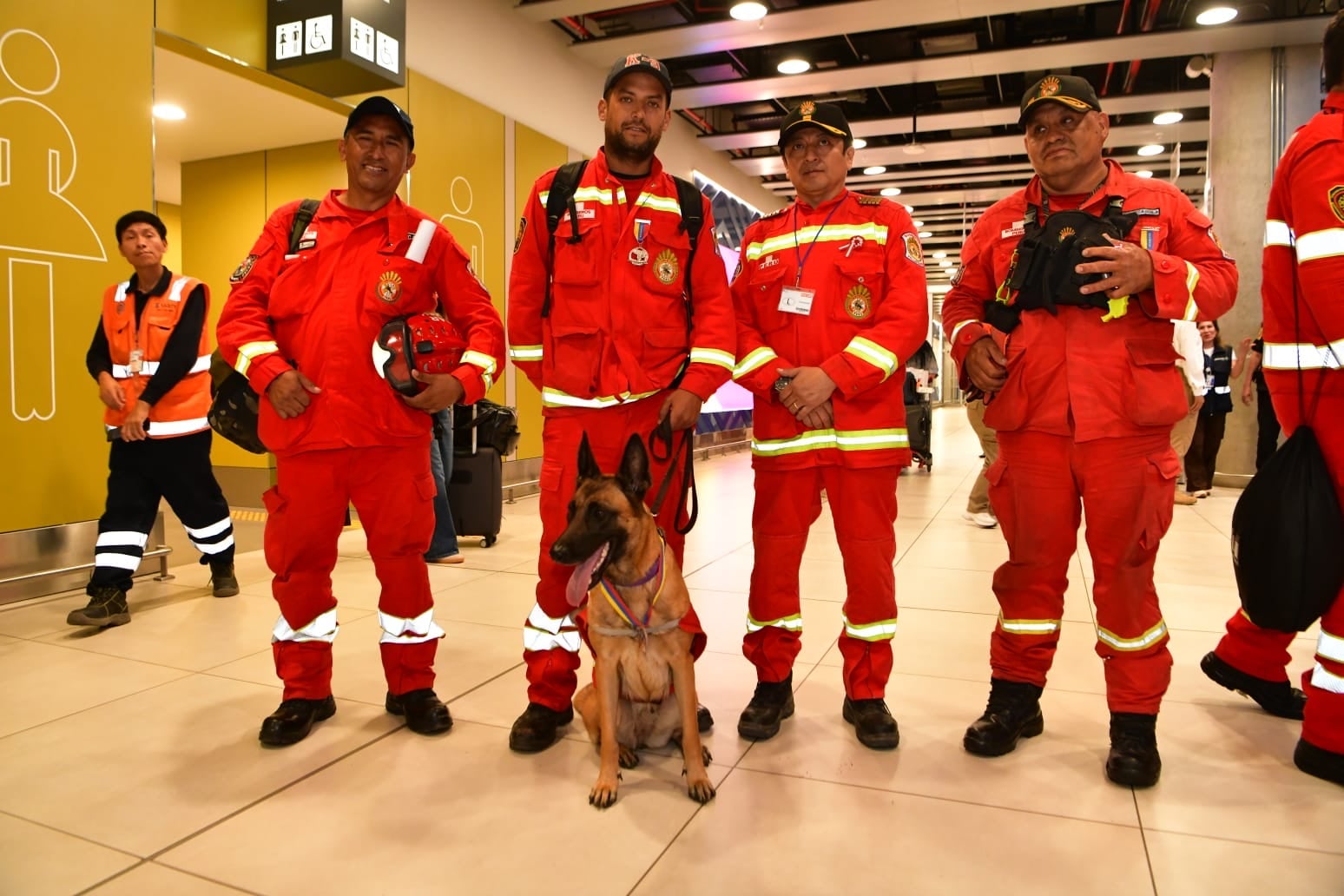 Bomberos del equipo USAR retornaron al Perú luego de finalizar las operaciones de búsqueda en Venezuela. Foto: Mininter.