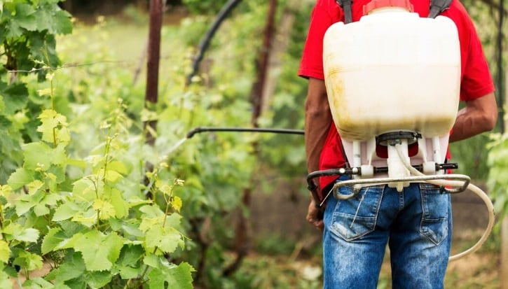 Actualmente una anomalía climática es la que propicia mayor presencia de plagas y obliga al mayor uso de pesticidas, según experto Ulises Osorio (Foto referencial: Freepik)