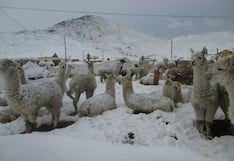 Senamhi: lluvia y granizo de ligera a modera intensidad se presentarán en la sierra sur