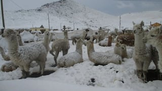 Senamhi: lluvia y granizo de ligera a modera intensidad se presentarán en la sierra sur
