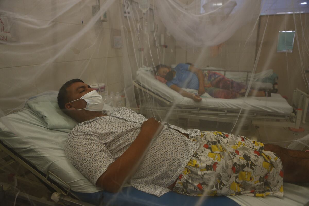 Brigadas de fumigación entrarán a las viviendas y se organizarán campañas de información a la población para evitar la propagación del dengue. (Foto: Hugo Curotto GEC)