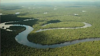 Productos de la Amazonía carecen de oportunidades e industrialización