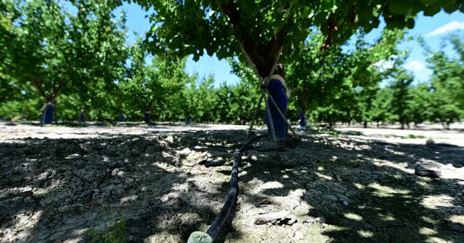 Según autoridades de ese país, 27% de las 2,000 depuradoras de aguas residuales en el país ofrecen tratamientos que permiten usar el agua para la agricultura. (Foto: AFP)