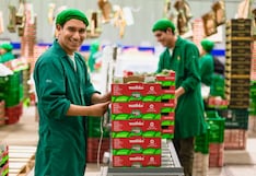 Westfalia Fruit proyecta crecer hasta 15% en 2026 con impulso de nueva planta en Chiclayo