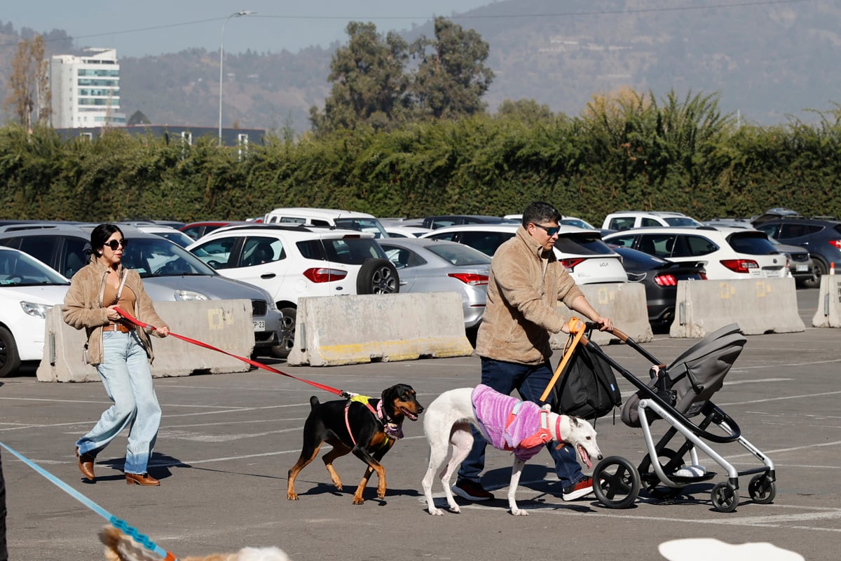 Fotografía del 30 de mayo 2026 que muestra a una pareja paseando junto a dos perros durante la 'Expo Mascotas & Animales', en Santiago (Chile). Mientras la natalidad en Chile cae a mínimos históricos y se reducen las maternidades en algunos hospitales, las mascotas ganan terreno y la industria de los animales domésticos experimenta un crecimiento explosivo en el país con la tasa de fecundidad más baja de Latinoamérica. EFE/ Elvis González