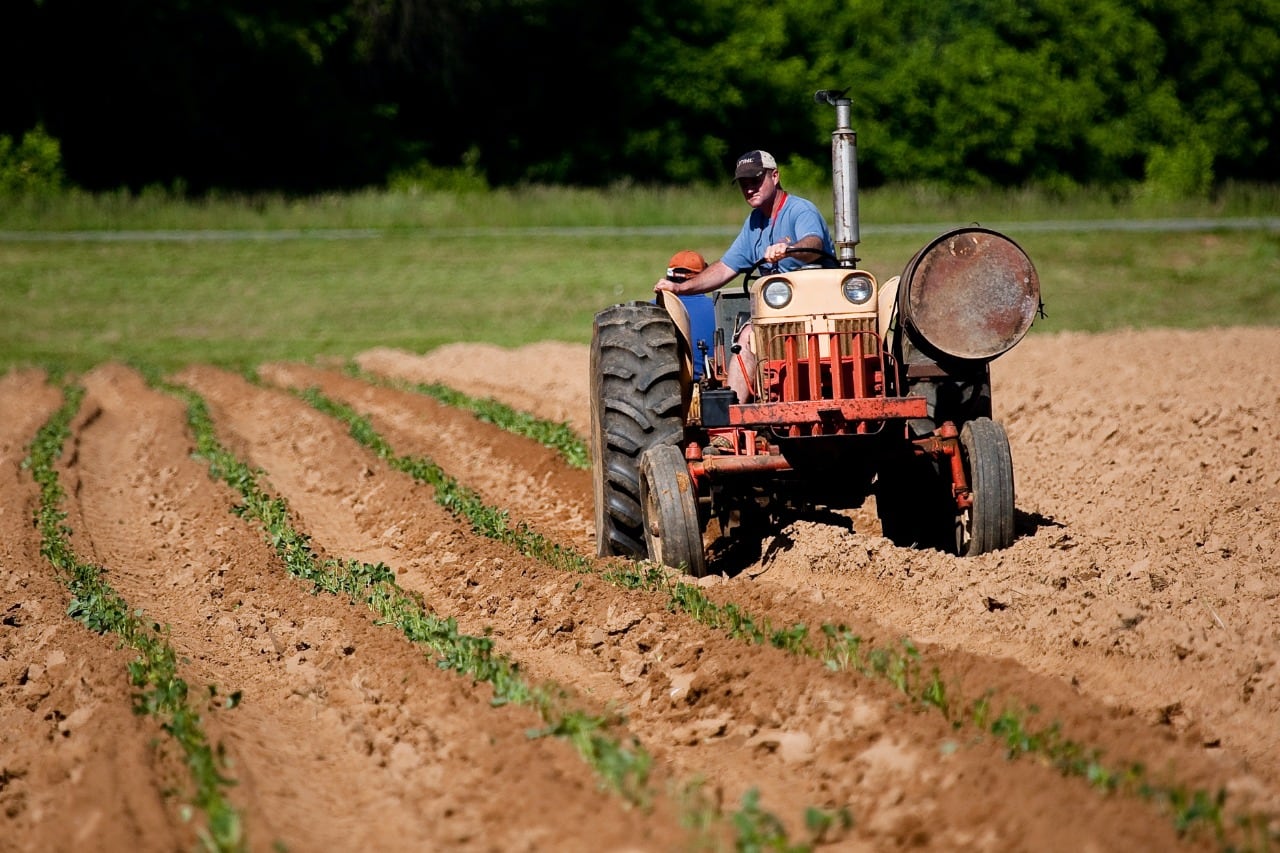 Una de las principales dificultades que enfrenta la agroindustria en materia laboral, es que opera en zonas rurales, donde es más difícil encontrar mano de obra calificada, y donde es más común la informalidad. (Foto: Andina)