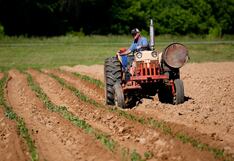 OIT: informalidad laboral en el sector agrícola peruano asciende a más del 90%