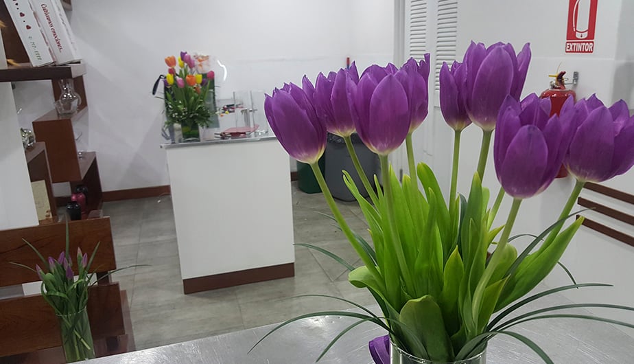 Los lotes de bulbos de tulipán para exportación deberán ser sometidos al menos a una inspección visual por parte del Servicio Agrícola y Ganadero de Chile. (Foto: Kukyflor)