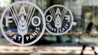 FAO y Mercosur acuerdan impulsar acciones para erradicar hambre en la región