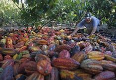 Ecuador, primer exportador de cacao de América avanza en la trazabilidad