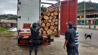 Serfor: “Con la reactivación de la economía, también se reactivó el tráfico ilegal de madera”