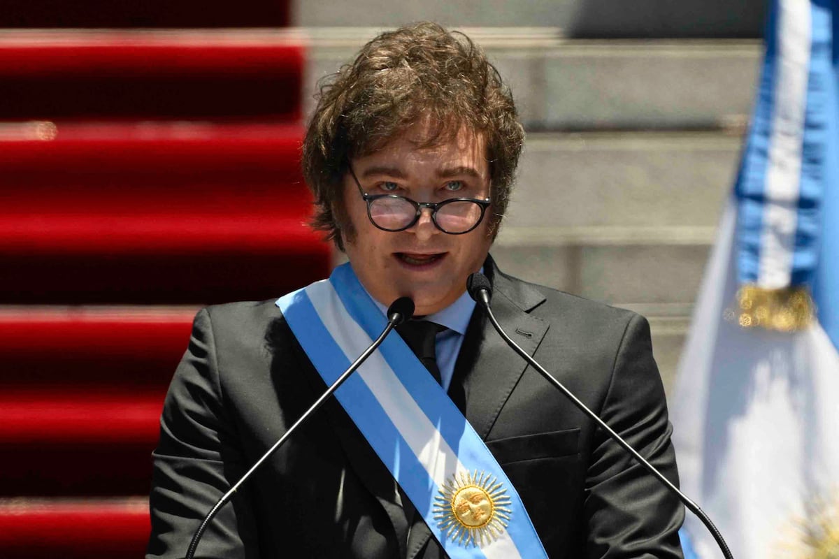 El nuevo presidente de Argentina, Javier Milei, pronuncia un discurso después de jurar ante el Congreso en Buenos Aires el 10 de diciembre de 2023. (Foto de Luis ROBAYO/AFP).