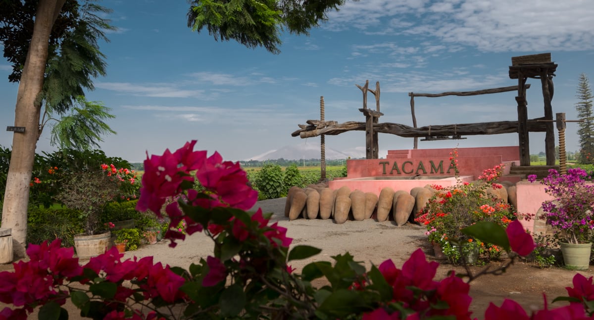 Tras una década de evolución, el vino peruano entra en una fase decisiva. Entre criollas, blends y cepas globales, las bodegas exploran caminos distintos para definir su lugar en el mercado. (Foto: Mario Zapata Nieto/ GEC)