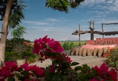 Bodegas Queirolo, Tacama y Murga: lo que revelan sobre el futuro del vino peruano