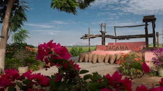 Bodegas Queirolo, Tacama y Murga: lo que revelan sobre el futuro del vino peruano