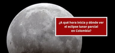 Noticias Sugeridas
